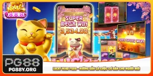 Lucky Neko Pg88 - Hướng Dẫn Cá Cược Cơ Bản Cho Người Mới
